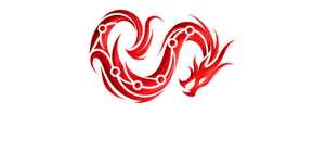 DragonPharmaStores